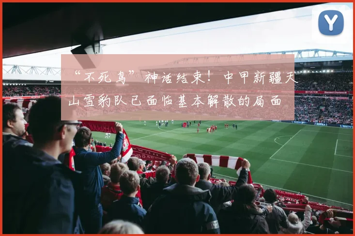 “不死鸟”神话结束！中甲新疆天山雪豹队已面临基本解散的局面