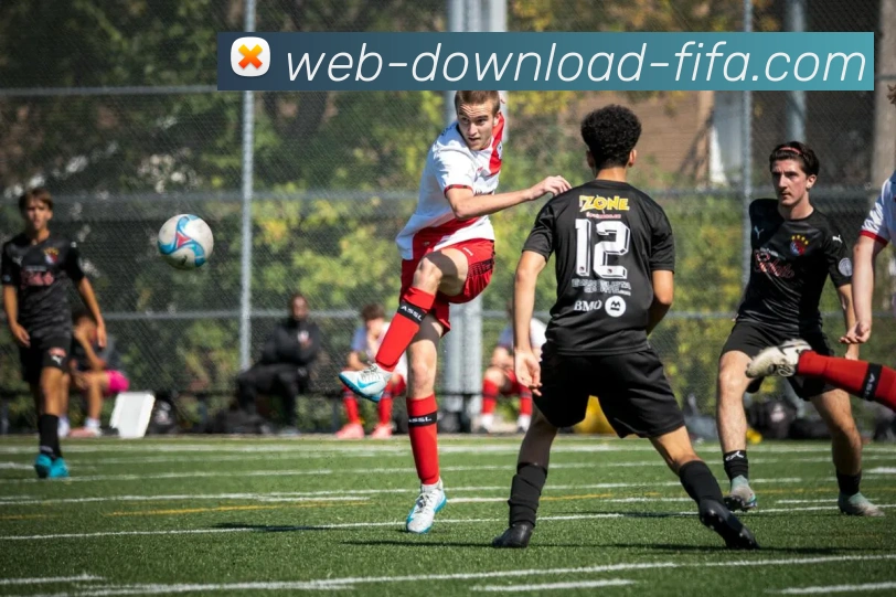 世界杯下载网站平台生态图